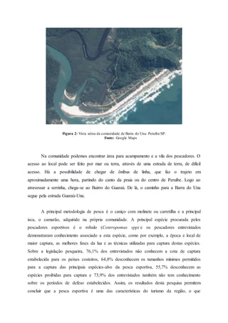 Figura 2- Vista aérea da comunidade de Barra do Una. Peruíbe/SP.
Fonte: Google Maps
Na comunidade podemos encontrar área para acampamento e a vila dos pescadores. O
acesso ao local pode ser feito por mar ou terra, através de uma estrada de terra, de difícil
acesso. Há a possibilidade de chegar de ônibus de linha, que faz o trajeto em
aproximadamente uma hora, partindo do canto da praia ou do centro de Peruíbe. Logo ao
atravessar a serrinha, chega-se ao Bairro do Guaraú. De lá, o caminho para a Barra do Una
segue pela estrada Guaraú-Una.
A principal metodologia de pesca é o caniço com molinete ou carretilha e a principal
isca, o camarão, adquirido na própria comunidade. A principal espécie procurada pelos
pescadores esportivos é o robalo (Centropomus spp) e os pescadores entrevistados
demonstraram conhecimento associado a esta espécie, como por exemplo, a época e local de
maior captura, as melhores fases da lua e as técnicas utilizadas para captura destas espécies.
Sobre a legislação pesqueira, 76,1% dos entrevistados não conhecem a cota de captura
estabelecida para os peixes costeiros, 64,8% desconhecem os tamanhos mínimos permitidos
para a captura das principais espécies-alvo da pesca esportiva, 55,7% desconhecem as
espécies proibidas para captura e 73,9% dos entrevistados também não tem conhecimento
sobre os períodos de defeso estabelecidos. Assim, os resultados desta pesquisa permitem
concluir que a pesca esportiva é uma das características do turismo da região, o que
 