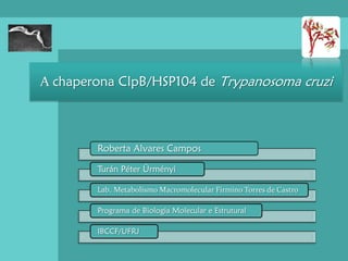 A chaperona ClpB/HSP104 de Trypanosoma cruzi



        Roberta Alvares Campos

        Turán Péter Ürményi

        Lab. Metabolismo Macromolecular Firmino Torres de Castro

        Programa de Biologia Molecular e Estrutural

        IBCCF/UFRJ
 