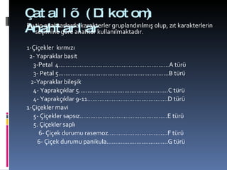 Çatallı (Dikotom) Anahtarlar Bu tip anahtarlarda karakterler gruplandırılmış olup, zıt karakterlerin seçimine göre anahtar kullanılmaktadır .  1-Çiçekler  kırmızı 2- Yapraklar basit 3-Petal  4………………………………………………………A türü 3- Petal 5…………..………………………………………….B türü 2-Yapraklar bileşik 4- Yaprakçıklar 5……………………………………………C türü 4- Yaprakçıklar 9-11……………………………………….D türü 1-Çiçekler mavi 5- Çiçekler sapsız……………………………..……………E türü 5. Çiçekler saplı 6- Çiçek durumu rasemoz…………………………....F türü 6- Çiçek durumu panikula…….……………………….G türü 
