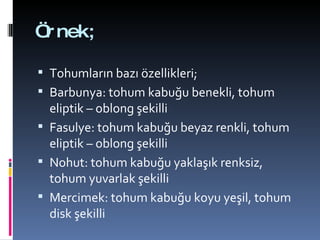 Örnek; Tohumların bazı özellikleri; Barbunya: tohum kabuğu benekli, tohum eliptik – oblong şekilli Fasulye: tohum kabuğu beyaz renkli, tohum eliptik – oblong şekilli Nohut: tohum kabuğu yaklaşık renksiz, tohum yuvarlak şekilli Mercimek: tohum kabuğu koyu yeşil, tohum disk şekilli 