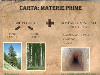 CARTA: MATERIE PRIME FIBRE VEGETALI SOSTANZE MINERALI DI CARICA FIBRE LUNGHE FIBRE CORTE CARBONATODI CALCIO CAOLINO TALCO Silvia Antognazza  Università degli Studi dell'Insubria-Como 