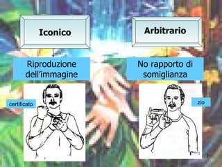 Iconico Arbitrario Riproduzione dell’immagine No rapporto di somiglianza certificato zio 