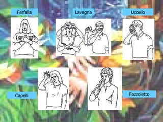 Farfalla Lavagna Uccello Capelli Fazzoletto 