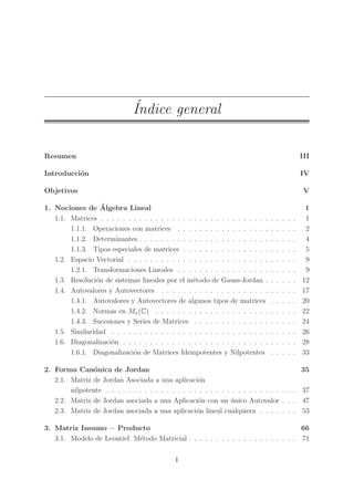 Modelo input - output de Leontief | PDF