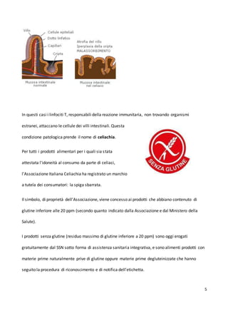5
In questi casi i linfociti T, responsabili della reazione immunitaria, non trovando organismi
estranei, attaccano le cellule dei villi intestinali. Questa
condizione patologica prende il nome di celiachia.
Per tutti i prodotti alimentari per i quali sia stata
attestata l'idoneità al consumo da parte di celiaci,
l'Associazione Italiana Celiachia ha registrato un marchio
a tutela dei consumatori: la spiga sbarrata.
Il simbolo, di proprietà dell'Associazione, viene concesso ai prodotti che abbiano contenuto di
glutine inferiore alle 20 ppm (secondo quanto indicato dalla Associazione e dal Ministero della
Salute).
I prodotti senza glutine (residuo massimo di glutine inferiore a 20 ppm) sono oggi erogati
gratuitamente dal SSN sotto forma di assistenza sanitaria integrativa, e sono alimenti prodotti con
materie prime naturalmente prive di glutine oppure materie prime degluteinizzate che hanno
seguito la procedura di riconoscimento e di notifica dell’etichetta.
 