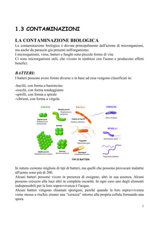 1.3 CONTAMINAZIONI
LA CONTAMINAZIONE BIOLOGICA
La contaminazione biologica è dovuta principalmente dall'azione di microrganismi,
ma anche da parassiti già presenti nell'organismo.
I microrganismi, virus, batteri e funghi sono piccole forme di vita.
Ci sono microrganismi utili, che vivono in simbiosi con l'uomo e producono effetti
benefici.
BATTERI:
I batteri possono avere forme diverse e in base ad essa vengono classificati in:
-bacilli, con forma a bastoncino
-cocchi, con forma tondeggiante
-spirilli, con forma a spirale
-vibrioni, con forma a virgola
In natura esistono migliaia di tipi di batteri, ma quelli che possono provocare malattie
all'uomo sono più di 200.
Alcuni batteri possono vivere in presenza di ossigeno, altri in sua assenza. Alcuni
possono crescere alla luce altri in completa oscurità. In ogni caso uno degli elementi
indispensabili per la loro sopravvivenza è l'acqua.
Alcuni batteri vengono chiamati sporigeni, perchè quando la loro sopravvivenza
viene messa a rischio creano una “corazza” intorno alla propria cellula formando una
spora.
7
 