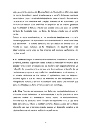 26
Los experimentos clásicos de Stockard sobre la hibridación de diferentes razas
de perros demostraron que el tamaño óseo y el tamaño de huesos maxilares
están bajo un control hereditario independiente, y que el tamaño dentario es la
característica más constante del complejo maxilofacial. El apiñamiento que
resultaba al mezclar razas diferentes era expresión de los factores genéticos
que modificaban el tamaño maxilar con escasa influencia sobre el tamaño
dentario. Se heredaba más por tanto, del tamaño maxilar que el tamaño
dental.
Basado en estos experimentos y en los estudios de Lundstrom se conoce la
fuerte carga genética del apiñamiento en la interdependencia entre los factores
que determinan el tamaño dentario y los que afectan el tamaño óseo. La
mezcla de razas humanas se ha interpretado, de acuerdo con estas
observaciones, como unos de los orígenes del creciente apiñamiento del
hombre actual.
A.2.- Evolución.Según lo anteriormente comentado la tendencia evolutiva en
el hombre, debido a su posición erecta, es hacia la reducción del volumen de la
cabeza y a la posición en retrusion de los maxilares con respecto al cráneo. La
reducción del prognatismo lleva consigo una disminución es el tamaño de los
maxilares que progresa a mayor velocidad que el descenso en el número y en
el tamaño mesiodistal de los dientes. El apiñamiento seria un fenómeno
evolutivo ligado a que el hocico del mamífero ha sido remplazado por el
retrognatismo humano, y en esos maxilares no tiene cabida una dentición que
se ha modificado poco, tanto en tamaño como en morfología.
A.3.- Dieta .También se ha sugerido que la función masticatoria diminuida en
el hombre actual seria causa de apiñamiento por la atrofia que provoca en el
desarrollo maxilar. La alimentación blanda implica un hipofuncionalismo
muscular que no estimula a nivel suficiente el crecimiento óseo, el uso de la
boca para romper, triturar y masticar alimentos toscos parece ser un factor
influyente para que el complejo maxilar alcance un desarrollo completo y los
dientes dispongan de espacio suficiente para alinearse.
 