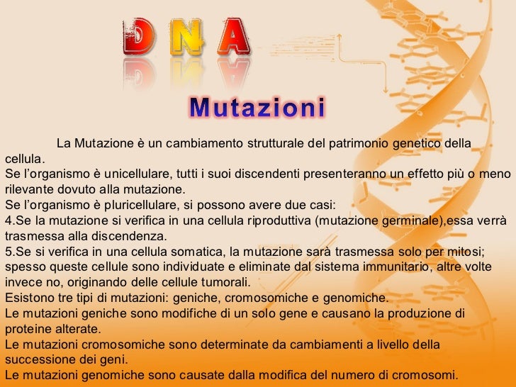 Tesina Terza Media Inglese Nelson Mandela