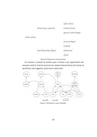 Figura 10: Relazione tra concetti primitivi

Un concetto è costituito da attributi, parti e funzioni e per rappresentarli sono
necessarie anche le relazioni incrociate fra categorie lessicali diverse che saranno di
tipo diverso: nome-aggettivo, nome-nome e nome-verbo.

Figura 11: Relazione tra i nomi in WordNet

29

 