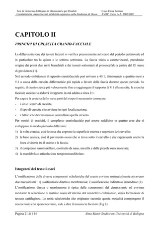 Tesi di Dottorato di Ricerca in Odontoiatria per Disabili D.ssa Elena Pozzani
Caratteristiche cranio-facciali ed abilità espressive nella Sindrome di Down XVIII° Ciclo, A.A. 2006/2007
Pagina 21 di 114 Alma Mater Studiorum Università di Bologna
CAPITOLO II
PRINCIPI DI CRESCITA CRANIO-FACCIALE
La differenziazione dei tessuti facciali si verifica precocemente nel corso del periodo embrionale ed
in particolare tra la quinta e le settima settimana. La faccia inizia a caratterizzarsi, prendendo
origine dai primi due archi branchiali e dai tessuti sottostanti al prosencefalo a partire dal III mese
di gravidanza (1).
Nel periodo embrionale il rapporto craniofacciale può arrivare a 40:1, diminuendo a quattro mesi a
5:1 a causa della crescita differenziale più rapida a favore della faccia durante questo periodo. In
seguito, il cranio cresce più velocemente fino a raggiungere il rapporto di 8:1 alla nascita; la crescita
facciale successiva ridurrà il rapporto in età adulta a circa 2:1.
Per capire la crescita delle varie parti del corpo è necessario conoscere:
- i siti e i centri di crescita;
- il tipo di crescita che avviene in ogni localizzazione;
- i fattori che determinano o controllano quella crescita.
Per motivi di praticità, il complesso craniofacciale può essere suddiviso in quattro aree che si
sviluppano in modo piuttosto differente:
1) la volta cranica, cioè le ossa che coprono la superficie esterna e superiore del cervello;
2) la base cranica, cioè il pavimento osseo che si trova sotto il cervello e che rappresenta anche la
linea divisoria tra il cranio e la faccia;
3) il complesso nasomaxillare, costituito da naso, maxilla e dalle piccole ossa associate;
4) la mandibola e articolazione temporomandibolare.
Istogenesi dei tessuti ossei
L’ossificazione delle diverse componenti scheletriche del cranio avviene sostanzialmente attraverso
due meccanismi : 1) ossificazione diretta o membranosa; 2) ossificazione indiretta o encondrale (2).
L’ossificazione diretta o membranosa è tipica delle componenti del desmocranio ed avviene
mediante la secrezione di matrice ossea all’interno del connettivo embrionale, senza formazione di
tessuto cartilagineo. Le unità scheletriche che originano secondo questa modalità compongono il
neurocranio e lo splancnocranio, vale a dire il massiccio facciale (Fig 6).
 