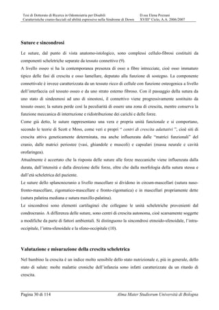 Tesi di Dottorato di Ricerca in Odontoiatria per Disabili D.ssa Elena Pozzani
Caratteristiche cranio-facciali ed abilità espressive nella Sindrome di Down XVIII° Ciclo, A.A. 2006/2007
Pagina 30 di 114 Alma Mater Studiorum Università di Bologna
Suture e sincondrosi
Le suture, dal punto di vista anatomo-istologico, sono complessi cellulo-fibrosi costituiti da
componenti scheletriche separate da tessuto connettivo (9).
A livello osseo si ha la contemporanea presenza di osso a fibre intrecciate, cioè osso immaturo
tipico delle fasi di crescita e osso lamellare, deputato alla funzione di sostegno. La componente
connettivale è invece caratterizzata da un tessuto ricco di cellule con funzione osteogenica a livello
dell’interfaccia col tessuto osseo e da uno strato esterno fibroso. Con il passaggio della sutura da
uno stato di sindesmosi ad uno di sinostosi, il connettivo viene progressivamente sostituito da
tessuto osseo; la sutura perde così la peculiarità di essere una zona di crescita, mentre conserva la
funzione meccanica di interruzione e ridistribuzione dei carichi e delle forze.
Come già detto, le suture rappresentano una vera e propria unità funzionale e si comportano,
secondo le teorie di Scott e Moss, come veri e propri “ centri di crescita adattativi ”, cioè siti di
crescita attiva geneticamente determinata, ma anche influenzata dalle “matrici funzionali” del
cranio, dalle matrici periostee (vasi, ghiandole e muscoli) e capsulari (massa neurale e cavità
orofaringea).
Attualmente è accertato che la risposta delle suture alle forze meccaniche viene influenzata dalla
durata, dall’intensità e dalla direzione delle forze, oltre che dalla morfologia della sutura stessa e
dall’età scheletrica del paziente.
Le suture dello splancnocranio a livello mascellare si dividono in circum-mascellari (sutura naso-
fronto-mascellare, zigomatico-mascellare e fronto-zigomatica) e in mascellari propriamente dette
(sutura palatina mediana e sutura maxillo-palatina).
Le sincondrosi sono elementi cartilaginei che collegano le unità scheletriche provenienti dal
condrocranio. A differenza delle suture, sono centri di crescita autonoma, cioè scarsamente soggette
a modifiche da parte di fattori ambientali. Si distinguono la sincondrosi etmoido-sfenoidale, l’intra-
occipitale, l’intra-sfenoidale e la sfeno-occipitale (10).
Valutazione e misurazione della crescita scheletrica
Nel bambino la crescita è un indice molto sensibile dello stato nutrizionale e, più in generale, dello
stato di salute: molte malattie croniche dell’infanzia sono infatti caratterizzate da un ritardo di
crescita.
 