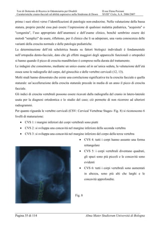 Tesi di Dottorato di Ricerca in Odontoiatria per Disabili D.ssa Elena Pozzani
Caratteristiche cranio-facciali ed abilità espressive nella Sindrome di Down XVIII° Ciclo, A.A. 2006/2007
Pagina 35 di 114 Alma Mater Studiorum Università di Bologna
prima i suoi sforzi verso l’identificazioni di patologie non-endocrine. Nella valutazione della bassa
statura, proprio perché essa può essere l’espressione di qualsiasi malattia pediatrica, "acquisita" o
"congenita", l’uso appropriato dell’anamnesi e dell’esame clinico, benché sembrino essere dei
metodi "semplici" da usare, riflettono, per il clinico che li sa adoperare, una vasta conoscenza delle
varianti della crescita normale e delle patologie pediatriche.
La determinazione dell’età scheletrica basata su fattori biologici individuali è fondamentale
nell’ortopedia dento-facciale, dato che gli effetti maggiori degli apparecchi funzionali e ortopedici
si hanno quando il picco di crescita mandibolare è compreso nella durata del trattamento.
Le indagini che consentono, mediante un unico esame ed in un’unica seduta, la valutazione dell’età
ossea sono le radiografie del carpo, del ginocchio e delle vertebre cervicali (12, 13).
Molti studi hanno dimostrato che esiste una correlazione significativa tra la crescita facciale e quella
staturale: un’accellerazione della crescita staturale precede in media di un anno il picco di crescita
facciale.
Gli indici di crescita vertebrali possono essere ricavati dalla radiografia del cranio in latero-laterale
usata per la diagnosi ortodontica e lo studio del caso; ciò permette di non ricorrere ad ulteriori
radiogrammi.
Per quanto riguarda le vertebre cervicali (CSV: Cervical Vertebrae Stages- Fig. 8) si riconoscono 6
livelli di maturazione:
• CVS 1: i margini inferiori dei corpi vertebrali sono piatti
• CVS 2: si sviluppa una concavità nel margine inferiore della seconda vertebra
• CVS 3: si sviluppa una concavità nel margine inferiore del corpo della terza vertebra
• CVS 4: tutti i corpi hanno assunto una forma
rettangolare
• CVS 5: i corpi vertebrali diventano quadrati,
gli spazi sono più piccoli e le concavità sono
evidenti
• CVS 6: tutti i corpi vertebrali sono aumentati
in altezza, sono più alti che larghi e le
concavità approfondite.
Fig. 8
 