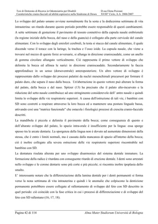 Tesi di Dottorato di Ricerca in Odontoiatria per Disabili D.ssa Elena Pozzani
Caratteristiche cranio-facciali ed abilità espressive nella Sindrome di Down XVIII° Ciclo, A.A. 2006/2007
Pagina 42 di 114 Alma Mater Studiorum Università di Bologna
Lo sviluppo del palato umano avviene normalmente fra la sesta e la dodicesima settimana di vita
intrauterina: un ritardo durante questo periodo potrebbe essere responsabile di questi cambiamenti.
A sette settimane di gestazione il pavimento di tessuto connettivo della capsula nasale embrionale
(la regione iniziale della bocca, del naso e della guancia) è collegato alla parte cervicale del canale
alimentare. Con lo sviluppo degli emisferi cerebrali, la testa si stacca dal canale alimentare, il quale
discende verso il torace con la laringe, la trachea e l’osso ioide. La capsula nasale, che viene a
trovarsi nel mezzo di queste forze avversarie, si allunga in direzione craniocaudale, come un anello
di gomma circolare allungato verticalmente. Ciò rappresenta il primo vettore di sviluppo che
delimita la bocca ed allinea le narici in direzione craniocaudale. Secondariamente la faccia
approfondisce in un senso (dorsoventrale) anteroposteriore. Un altro vettore di sviluppo è
rappresentato dallo sviluppo dei processi palatini da nuclei mesenchimali precursori per formare il
palato duro, che separa il naso dalla bocca. Un'aberrazione in questo vettore può alterare la forma
del palato, della bocca e del naso. Spitzer (13) ha precisato che il palato alto-incurvato e la
riduzione del setto nasale contribuisce ad uno stringimento considerevole dell’ antro nasale e quindi
limita lo sviluppo delle vie respiratorie superiori. A causa dell'ostruzione di tali vie, i bambini con
SD sono costretti a respirare attraverso la loro bocca ed a mantenere una postura linguale bassa,
attivando così una “matrice funzionale” che ostacola i fisiologici processi di crescita cranio-facciale
descritti.
La mandibola è piccola e delimita il pavimento della bocca; come conseguenza di questo e
dell’altarato sviluppo del palato, lo spazio intra-orale è insufficiente per la lingua: essa sporge
spesso tra le arcate dentarie. La sporgenza della lingua non è dovuto ad aumentate dimensioni della
stessa, che è entro i limiti normali, ma è causata dalla mancanza di spazio all'interno della bocca;
ciò è inoltre collegato alla severa ostruzione delle vie respiratorie superiore riscontrabile nel
bambino con SD.
La dentatura risulata alterata per uno sviluppo disarmonico del sistema dentale immaturo. La
formazione della radice è ritardata con conseguente ritardo di eruzione dentale. I denti sono arrestati
nello sviluppo e le corone dentarie sono più corte e più piccole; si riscontra inoltre ipoplasia dello
smalto.
E’ interessante notare che la differenziazione della lamina dentale per i denti permanenti si forma
verso la nona settimana di vita intrauterina e quindi i le anomalie che colpiscono la dentizione
permanente potrebbero essere collegate al rallentamento di sviluppo del feto con SD descritto in
quel periodo: ciò coincide con la fase critica in cui i processi di differenziazione e di sviluppo del
feto con SD rallentano (16, 17, 18).
 