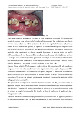 Tesi di Dottorato di Ricerca in Odontoiatria per Disabili D.ssa Elena Pozzani
Caratteristiche cranio-facciali ed abilità espressive nella Sindrome di Down XVIII° Ciclo, A.A. 2006/2007
Pagina 49 di 114 Alma Mater Studiorum Università di Bologna
Fig. 18
Fra i fattori endogeni predisponesti rivestono un ruolo importante le anomalie del collagene dei
tessuti di sostegno e del microcircolo, le turbe dell’odontogenesi che condizionano un alterato
rapporto corona-radice, una ridotta produzione di saliva, ma soprattutto la scarsa efficacia dei
sistemi di difesa immunitaria, specifici ed aspecifici. Il disturbo immunologico è complesso: sono
state descritte alterazioni qualitative dei leucociti polimorfonucleati e dei monociti, quali ridotta
sensibilità alla chemiotassi ed alterata capacità fagocitaria; si associa inoltre un deficit
dell’immunità umorale con alterazioni della superficie di membrana dei linfociti ed in una tendenza
a livelli più bassi di immunoglobuline, specie della classe IgM. E’ stata inoltre descritta una turba
dell’immunità cellulare rappresentata da un rapido decremento delle funzioni T-mediate e della
reattività dei linfociti T agli stimoli esogeni, a partire dai 10 anni di età (34).
Secondo Sohoel ad altri (35), la maggiore predisposizione dei soggetti con SD alla parodontite
marginale cronica è in relazione ad una eccessiva risposta immunitaria legata all’espressione HLA
sulle cellule infiammatorie e sui cheratinociti dell’epitelie gengivale. E’ stata inoltre riscontrata una
precoce attivazione della metalloproteinasi di matrice (MMP-8 e -9) nel fluido crevicolare dei
soggetti con SD, evento che spiega il precoce danno parodontale e osseo anche negli stadi iniziali
della gengivite/parodontite (36).
Dal gran numero di implicazioni dentomaxillofacciali associate alla SD, si evince quanto sia
opportuno eseguire, fin dai primi anni di vita, trattamenti odontostomatologici multidisciplinari al
fine di limitare l’instaurarsi di patologie secondarie ed indirizzare la crescita e lo sviluppo in modo
da sfruttare al meglio le potenzialità dei singoli, al fine di migliorarne la qualità di vita e
l’integrazione sociale.
Il piano di trattamento terapeutico va programmato caso per caso mediante un approccio preventivo
sia per quanto riguarda la carie, che per la parodontopatia, sia per le disfunzioni della muscolatura
 