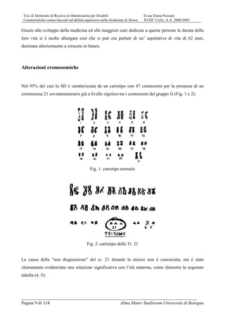 Tesi di Dottorato di Ricerca in Odontoiatria per Disabili D.ssa Elena Pozzani
Caratteristiche cranio-facciali ed abilità espressive nella Sindrome di Down XVIII° Ciclo, A.A. 2006/2007
Pagina 9 di 114 Alma Mater Studiorum Università di Bologna
Grazie allo sviluppo della medicina ed alle maggiori cure dedicate a queste persone la durata della
loro vita si è molto allungata così che si può ora parlare di un’ aspettativa di vita di 62 anni,
destinata ulteriormente a crescere in futuro.
Alterazioni cromosomiche
Nel 95% dei casi la SD è caratterizzata da un cariotipo con 47 cromosomi per la presenza di un
cromosoma 21 sovrannumerario già a livello zigotico tra i cromosomi del gruppo G (Fig. 1 e 2):
Fig. 1: cariotipo normale
Fig. 2: cariotipo della Tr. 21
La causa della “non disgiunzione” del cr. 21 durante la meiosi non è conosciuta, ma è stata
chiaramente evidenziata una relazione significativa con l’età materna, come dimostra la seguente
tabella (4, 5):
 