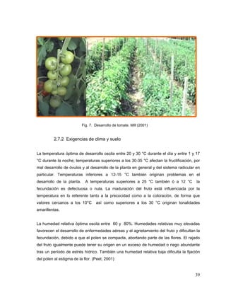 Fig. 7. Desarrollo de tomate. Mill (2001)


          2.7.2 Exigencias de clima y suelo


La temperatura óptima de desarrollo oscila entre 20 y 30 °C durante el día y entre 1 y 17
°C durante la noche; temperaturas superiores a los 30-35 °C afectan la fructificación, por
mal desarrollo de óvulos y al desarrollo de la planta en general y del sistema radicular en
particular. Temperaturas inferiores a 12-15 °C también originan problemas en el
desarrollo de la planta.     A temperaturas superiores a 25 °C también ó a 12 °C         la
fecundación es defectuosa o nula. La maduración del fruto está influenciada por la
temperatura en lo referente tanto a la precocidad como a la coloración, de forma que
valores cercanos a los 10°C        así como superiores a los 30 °C originan tonalidades
amarillentas.


La humedad relativa óptima oscila entre 60 y 80%. Humedades relativas muy elevadas
favorecen el desarrollo de enfermedades aéreas y el agrietamiento del fruto y dificultan la
fecundación, debido a que el polen se compacta, abortando parte de las flores. El rajado
del fruto igualmente puede tener su origen en un exceso de humedad o riego abundante
tras un período de estrés hídrico. También una humedad relativa baja dificulta la fijación
del polen al estigma de la flor. (Peet, 2001)


                                                                                        39
 