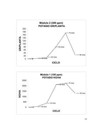 Módulo 2 (300 ppm)
                       POTASIO GR/PLANTA
            200
            180
                                                         75 días
            160
GR/PLANTA




            140
            120
            100
             80                               60 días
             60
             40
                                                                   90 días
             20
                                    45 días
              0    0     30 días

                                     CICLO



                        Módulo 1 (100 ppm)
                         POTASIO KG/HA
            2500
                                                         75 días
                                               60 días
            2000
KG/HA




            1500
                                                                   90 días

            1000

             500
                                   45 días

               0   0     30 días

                                      CICLO


                                                                         70
 