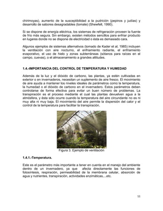 chirimoyas), aumento de la susceptibilidad a la pudrición (pepinos y judías) y
desarrollo de sabores desagradables (tomate) (Shewfelt, 1990).

Si se dispone de energía eléctrica, los sistemas de refrigeración proveen la fuente
de frío más segura. Sin embargo, existen métodos sencillos para enfriar producto
en lugares donde no se dispone de electricidad o ésta es demasiado cara.

Algunos ejemplos de sistemas alternativos (tomado de Kader et al, 1985) incluyen
la ventilación con aire nocturno, el enfriamiento radiante, el enfriamiento
evaporativo, el uso de hielo y zonas subterráneas (sótanos para raíces en el
campo, cuevas), o el almacenamiento a grandes altitudes.


1.4.-IMPORTANCIA DEL CONTROL DE TEMPERATURA Y HUMEDAD

Además de la luz y el dióxido de carbono, las plantas, ya estén cultivadas en
exterior o en invernaderos, necesitan un suplemento de aire fresco. El movimiento
de aire ayuda a mantener los niveles ideales de parámetros como la temperatura,
la humedad o el dióxido de carbono en el invernadero. Estos parámetros deben
controlarse de forma efectiva para evitar un buen número de problemas. La
transpiración es el proceso mediante el cual las plantas devuelven agua a la
atmósfera, y ésta sólo ocurre cuando la temperatura del aire circundante no es ni
muy alta ni muy baja. El movimiento del aire permite la dispersión del calor y el
control de la temperatura para facilitar la transpiración.




                         Figura 3. Ejemplo de ventilación

1.4.1.-Temperatura.

Este es el parámetro más importante a tener en cuenta en el manejo del ambiente
dentro de un invernadero, ya que           afecta directamente las funciones de
fotosíntesis, respiración, permeabilidad de la membrana celular, absorción de
agua y nutrientes, transpiración, actividades enzimáticas,...etc.




                                                                                11
 