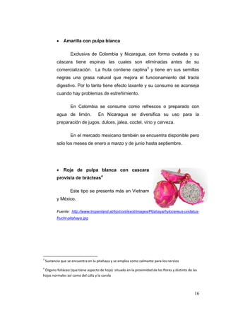     Amarilla con pulpa blanca

                    Exclusiva de Colombia y Nicaragua, con forma ovalada y su
           cáscara tiene espinas las cuales son eliminadas antes de su
           comercialización. La fruta contiene captina3 y tiene en sus semillas
           negras una grasa natural que mejora el funcionamiento del tracto
           digestivo. Por lo tanto tiene efecto laxante y su consumo se aconseja
           cuando hay problemas de estreñimiento.

                    En Colombia se consume como refrescos o preparado con
           agua de limón.             En Nicaragua se diversifica su uso para la
           preparación de jugos, dulces, jalea, coctel, vino y cerveza.

                    En el mercado mexicano también se encuentra disponible pero
           solo los meses de enero a marzo y de junio hasta septiembre.




               Roja de pulpa blanca con cascara
           provista de brácteas4

                    Este tipo se presenta más en Vietnam
           y México.

           Fuente: http://www.tropenland.at/trp/cont/exot/images/Pitahaya/hylocereus-undatus-
           frucht-pitahaya.jpg




3
     Sustancia que se encuentra en la pitahaya y se emplea como calmante para los nervios 
4
  Órgano foliáceo (que tiene aspecto de hoja)  situado en la proximidad de las flores y distinto de las 
hojas normales así como del cáliz y la corola 



                                                                                                     16
 