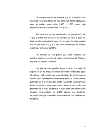 De acuerdo con la experiencia que en la práctica han
adquirido los productores de esta fruta, las zonas adecuadas
para su cultivo están entre 1.400 y 1.700 msnm, con
temperaturas que fluctúan entre 14°C y 26°C.


      Por otro lado se ha identificado una precipitación de
1.500 a 2.000 mm por año y un sombrío de 40% a 60% (en
lugar de alta luminosidad), junto con un suelo de textura suelta
con un pH entre 5.5 y 6.5, con altos contenidos de materia
orgánica y pendiente del 50%.


      Por tratarse de una planta que crece trepando por
árboles, piedras o muros, el cultivo comercial de la Pitahaya
requiere un sistema tutorado.


      Las plantaciones pueden llegar a tener una vida útil
superior a los 10 años, dependiendo de las condiciones agras
climáticas y del manejo que se dé al cultivo. La producción se
inicia a partir del segundo año de establecido el cultivo, con un
promedio de 3 a 4 frutos por planta y aumenta continuamente
hasta el quinto o sexto año cuando alcanza una producción
promedio de 4.5 kg. por planta, lo cual, para una densidad de
siembra     recomendada   de    2.200   plantas   por   hectárea,
representa una productividad aproximada de 10 toneladas por
hectárea.




                                                              54
 