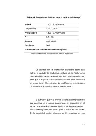 Tabla 3.2 Condiciones óptimas para el cultivo de Pitahaya*


Altitud                    1.400 - 1.700 msnm

Temperatura                14 °C - 26 °C

Precipitación              1.500 - 2.000 mm/año

PH                         5.5 - 6.5

Sombrío                    40% a 60%

Pendiente                  50%

Suelos con alto contenido de materia orgánica
      * Según la experiencia de productores Pitahaya (Colombia)




             De acuerdo con la información disponible sobre este
      cultivo, el período de producción rentable de la Pitahaya va
      hasta el año 8, siendo necesario renovar a partir de entonces;
      dado que la mayoría de los cultivos existentes en la actualidad
      en el país tienen 10 o más años de establecidos, su renovación
      constituye una actividad prioritaria en este cultivo.




             El cultivador que va a proveer la fruta a la empresa tiene
      sus siembras en el oriente ecuatoriano, en específico en el
      sector del Cantón Palora en la provincia de Morona Santiago,
      siendo esta región la más optima para el cultivo de esta planta.
      En la actualidad existen alrededor de 20 hectáreas en esa




                                                                    55
 