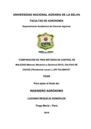 -1-
UNIVERSIDAD NACIONAL AGRARIA DE LA SELVA
FACULTAD DE AGRONOMÍA
Departamento Académico de Ciencias Agrarias
“COMPARACIÓN DE TRES MÉTODOS DE CONTROL DE
MALEZAS (Manual, Mecánico y Químico) EN EL CULTIVO DE
CACAO (Theobroma cacao L.) EN TULUMAYO”
TESIS
Para optar el título de:
INGENIERO AGRÓNOMO
LUCIANO REQUEJO GONZÁLES
Tingo María – Perú
2014
 