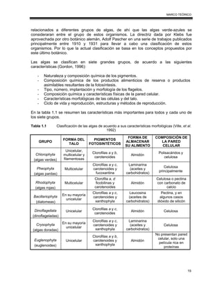 19
MARCO TEÓRICO
relacionados a diferentes grupos de algas, de ahí que las algas verde-azules se
consideraran entre el grupo de estos organismos. La directriz dada por Klebs fue
aprovechada por otro botánico alemán, Adolf Pascher en una serie de trabajos publicados
principalmente entre 1910 y 1931 para llevar a cabo una clasificación de estos
organismos. Por lo que la actual clasificación se basa en los conceptos propuestos por
este último botánico.
Las algas se clasifican en siete grandes grupos, de acuerdo a las siguientes
características (Gordon, 1996):
- Naturaleza y composición química de los pigmentos.
- Composición química de los productos alimenticios de reserva o productos
asimilables resultantes de la fotosíntesis.
- Tipo, número, implantación y morfología de los flagelos.
- Composición química y características físicas de la pared celular.
- Características morfológicas de las células y del talo.
- Ciclo de vida y reproducción, estructuras y métodos de reproducción.
En la tabla 1.1 se resumen las características más importantes para todos y cada uno de
los siete grupos.
Tabla 1.1 Clasificación de las algas de acuerdo a sus características morfológicas (Ville, et al.
1992)
GRUPO
FORMA DEL
TALO
PIGMENTOS
FOTOSINTÉTICOS
FORMA DE
ALMACENAR
SU ALIMENTO
COMPOSICIÓN DE
LA PARED
CELULAR
Chlorophyta
(algas verdes)
Unicelular,
multicelular y
filamentosas
Clorofilas a y b,
carotenoides
Almidón
Polisacáridos y
celulosa
Pheophyta
(algas pardas)
Multicelular
Clorofilas a y c,
carotenoides y
fucoxantina
Laminarina
(aceites y
carbohidratos)
Celulosa
principalmente
Rhodophyta
(algas rojas)
Multicelular
Clorofila a, d
ficobilinas y
carotenoides
Almidón
Celulosa o pectina
con carbonato de
calcio
Bacillariophyta
(diatomeas)
En su mayoría
unicelular
Clorofilas a y c,
carotenoides y
xanthophyla
Leucosina
(aceites de
carbohidratos)
Pectina, y en
algunos casos
dióxido de silicón
Dinoflagellata
(dinoflageladas)
Unicelular
Clorofilas a y c,
carotenoides
Almidón Celulosa
Crysophyta
(algas doradas)
En su mayoría
unicelular
Clorofilas a y c,
carotenoides y
xanthophyla
Laminarina
(aceites y
carbohidratos)
Celulosa
Euglenophyta
(euglenoides)
Unicelular
Clorofilas a y b,
carotenoides y
xanthophyla
Almidón
No presentan pared
celular, solo una
película rica en
proteínas
 