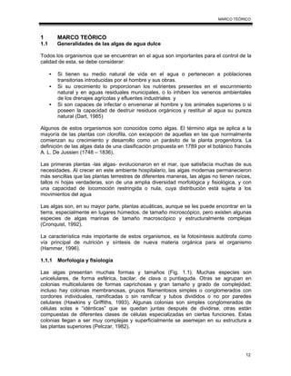 MARCO TEÓRICO
12
1 MARCO TEÓRICO
1.1 Generalidades de las algas de agua dulce
Todos los organismos que se encuentran en el agua son importantes para el control de la
calidad de esta, se debe considerar:
• Si tienen su medio natural de vida en el agua o pertenecen a poblaciones
transitorias introducidas por el hombre y sus obras.
• Si su crecimiento lo proporcionan los nutrientes presentes en el escurrimiento
natural y en aguas residuales municipales, o lo inhiben los venenos ambientales
de los drenajes agrícolas y efluentes industriales y
• Si son capaces de infectar o envenenar al hombre y los animales superiores o si
poseen la capacidad de destruir residuos orgánicos y restituir al agua su pureza
natural (Dart, 1985)
Algunos de estos organismos son conocidos como algas. El término alga se aplica a la
mayoría de las plantas con clorofila, con excepción de aquellas en las que normalmente
comienzan su crecimiento y desarrollo como un parásito de la planta progenitora. La
definición de las algas data de una clasificación propuesta en 1789 por el botánico francés
A. L. De Jussien (1748 – 1836).
Las primeras plantas -las algas- evolucionaron en el mar, que satisfacía muchas de sus
necesidades. Al crecer en este ambiente hospitalario, las algas modernas permanecieron
más sencillas que las plantas terrestres de diferentes maneras, las algas no tienen raíces,
tallos ni hojas verdaderas, son de una amplia diversidad morfológica y fisiológica, y con
una capacidad de locomoción restringida o nula, cuya distribución está sujeta a los
movimientos del agua
Las algas son, en su mayor parte, plantas acuáticas, aunque se les puede encontrar en la
tierra, especialmente en lugares húmedos, de tamaño microscópico, pero existen algunas
especies de algas marinas de tamaño macroscópico y estructuralmente complejas
(Cronquist, 1992).
La característica más importante de estos organismos, es la fotosíntesis autótrofa como
vía principal de nutrición y síntesis de nueva materia orgánica para el organismo
(Hammer, 1996).
1.1.1 Morfología y fisiología
Las algas presentan muchas formas y tamaños (Fig. 1.1). Muchas especies son
unicelulares, de forma esférica, bacilar, de clava o puntiaguda. Otras se agrupan en
colonias multicelulares de formas caprichosas y gran tamaño y grado de complejidad;
incluso hay colonias membranosas, grupos filamentosos simples o conglomerados con
cordones individuales, ramificadas o sin ramificar y tubos divididos o no por paredes
celulares (Hawkins y Griffiths, 1993). Algunas colonias son simples conglomerados de
células solas e “idénticas” que se quedan juntas después de dividirse, otras están
compuestas de diferentes clases de células especializadas en ciertas funciones. Estas
colonias llegan a ser muy complejas y superficialmente se asemejan en su estructura a
las plantas superiores (Pelczar, 1982).
 