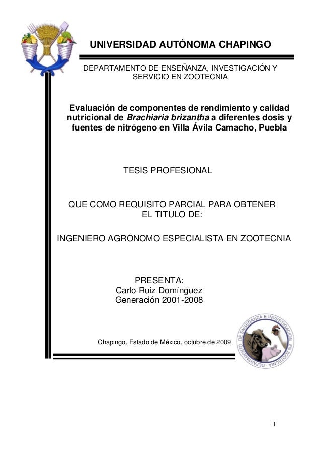Tesis carlo ruiz domínguez29 oct2009