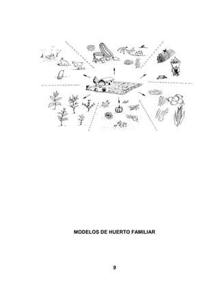 MODELOS DE HUERTO FAMILIAR
9
 