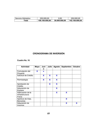 Servicio Hidráulico 250.000,00 0,00 250.000,00
Total 106.100.000,00 36.000.000,00 142.100.000,00
CRONOGRAMA DE INVERSIÓN
Cuadro No. 16
Actividad Mayo Juni
o
Julio Agosto Septiembre Octubre
Formulación del
Proyecto
X x
Solicitud de Crédito X X X
Permisología X X X
Aprobación de
Crédito
X X
Adquisición de
Equipos
X
Adecuación de la
Infraestructura
Física
X X
Apertura de Ctas.
Bancarias
X
Adquisición de
Insumos
X X
61
 