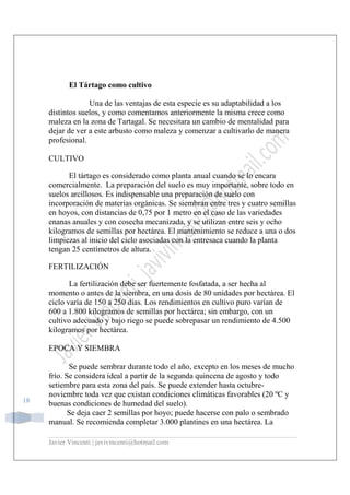 Javier Vincenti | javivincenti@hotmail.com
18
El Tártago como cultivo
Una de las ventajas de esta especie es su adaptabilidad a los
distintos suelos, y como comentamos anteriormente la misma crece como
maleza en la zona de Tartagal. Se necesitara un cambio de mentalidad para
dejar de ver a este arbusto como maleza y comenzar a cultivarlo de manera
profesional.
CULTIVO
El tártago es considerado como planta anual cuando se lo encara
comercialmente. La preparación del suelo es muy importante, sobre todo en
suelos arcillosos. Es indispensable una preparación de suelo con
incorporación de materias orgánicas. Se siembran entre tres y cuatro semillas
en hoyos, con distancias de 0,75 por 1 metro en el caso de las variedades
enanas anuales y con cosecha mecanizada, y se utilizan entre seis y ocho
kilogramos de semillas por hectárea. El mantenimiento se reduce a una o dos
limpiezas al inicio del ciclo asociadas con la entresaca cuando la planta
tengan 25 centímetros de altura.
FERTILIZACIÓN
La fertilización debe ser fuertemente fosfatada, a ser hecha al
momento o antes de la siembra, en una dosis de 80 unidades por hectárea. El
ciclo varía de 150 a 250 días. Los rendimientos en cultivo puro varían de
600 a 1.800 kilogramos de semillas por hectárea; sin embargo, con un
cultivo adecuado y bajo riego se puede sobrepasar un rendimiento de 4.500
kilogramos por hectárea.
EPOCA Y SIEMBRA
Se puede sembrar durante todo el año, excepto en los meses de mucho
frío. Se considera ideal a partir de la segunda quincena de agosto y todo
setiembre para esta zona del país. Se puede extender hasta octubre-
noviembre toda vez que existan condiciones climáticas favorables (20 ºC y
buenas condiciones de humedad del suelo).
Se deja caer 2 semillas por hoyo; puede hacerse con palo o sembrado
manual. Se recomienda completar 3.000 plantines en una hectárea. La
 