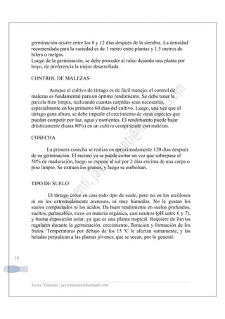 Javier Vincenti | javivincenti@hotmail.com
19
germinación ocurre entre los 8 y 12 días después de la siembra. La densidad
recomendada para la variedad es de 1 metro entre plantas y 1.5 metros de
hilera o melgas.
Luego de la germinación, se debe proceder al raleo dejando una planta por
hoyo, de preferencia la mejor desarrollada.
CONTROL DE MALEZAS
Aunque el cultivo de tártago es de fácil manejo, el control de
malezas es fundamental para un óptimo rendimiento. Se debe tener la
parcela bien limpia, realizando cuantas carpidas sean necesarias,
especialmente en los primeros 60 días del cultivo. Luego, una vez que el
tártago gana altura, se debe impedir el crecimiento de otras especies que
puedan competir por luz, agua y nutrientes. El rendimiento puede bajar
drásticamente (hasta 80%) en un cultivo compitiendo con malezas.
COSECHA
La primera cosecha se realiza en aproximadamente 120 días después
de su germinación. El racimo ya se puede cortar un vez que sobrepase el
50% de maduración, luego se expone al sol por 2 días encima de una carpa o
piso limpio. Se extraen los granos, y luego se embolsan.
TIPO DE SUELO
El tártago crece en casi todo tipo de suelo, pero no en los arcillosos
ni en los extremadamente arenosos, ni muy húmedos. No le gustan los
suelos compactados ni los ácidos. Da buen rendimiento en suelos profundos,
sueltos, permeables, ricos en materia orgánica, casi neutros (pH entre 6 y 7),
y buena exposición solar, ya que es una planta tropical. Requiere de lluvias
regulares durante la germinación, crecimiento, floración y formación de los
frutos. Temperaturas por debajo de los 15 ºC le afectan sumamente, y las
heladas perjudican a las plantas jóvenes, que se secan, por lo general.
 