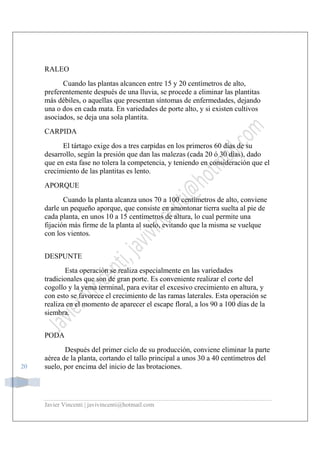 Javier Vincenti | javivincenti@hotmail.com
20
RALEO
Cuando las plantas alcancen entre 15 y 20 centímetros de alto,
preferentemente después de una lluvia, se procede a eliminar las plantitas
más débiles, o aquellas que presentan síntomas de enfermedades, dejando
una o dos en cada mata. En variedades de porte alto, y si existen cultivos
asociados, se deja una sola plantita.
CARPIDA
El tártago exige dos a tres carpidas en los primeros 60 días de su
desarrollo, según la presión que dan las malezas (cada 20 ó 30 días), dado
que en esta fase no tolera la competencia, y teniendo en consideración que el
crecimiento de las plantitas es lento.
APORQUE
Cuando la planta alcanza unos 70 a 100 centímetros de alto, conviene
darle un pequeño aporque, que consiste en amontonar tierra suelta al pie de
cada planta, en unos 10 a 15 centímetros de altura, lo cual permite una
fijación más firme de la planta al suelo, evitando que la misma se vuelque
con los vientos.
DESPUNTE
Esta operación se realiza especialmente en las variedades
tradicionales que son de gran porte. Es conveniente realizar el corte del
cogollo y la yema terminal, para evitar el excesivo crecimiento en altura, y
con esto se favorece el crecimiento de las ramas laterales. Esta operación se
realiza en el momento de aparecer el escape floral, a los 90 a 100 días de la
siembra.
PODA
Después del primer ciclo de su producción, conviene eliminar la parte
aérea de la planta, cortando el tallo principal a unos 30 a 40 centímetros del
suelo, por encima del inicio de las brotaciones.
 