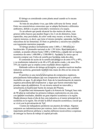 Javier Vincenti | javivincenti@hotmail.com
11
El tártago es considerado como planta anual cuando se lo encara
comercialmente.
Se trata de una planta vivaz, que debe cultivarse de forma anual.
Entre sus características conocemos que se adapta fácilmente a diferentes
ambientes, debido a su gran rusticidad y resistencia a la sequía.
Es un arbusto que puede alcanzar los dos metros de altura, con
gruesos tallos huecos que pueden llegar a los 2 cm de diámetros, hojas
esparcidas, muy pecioladas, de color verde muy oscuro, se trata de una
especie monoica, es decir, que tiene el mismo ejemplar, separadas, las flores
masculinas de las femeninas. El fruto es globuloso y encierra tres semillas
con tegumento marmóreo jaspeado.
El tártago produce normalmente entre 1.000 y 1.500 kilos por
hectárea/año. El promedio nacional es de 1.391 kilos. Bien manejado y
cuidado, se pueden obtener hasta 3.000 y 4.000 kilos, y puede dar un ingreso
económico de entre 1.400.000 y 3.500.000 G. /hectárea. Lo único que se
necesita comprar son 2 kilos de semilla por hectárea, cada dos años.
El contenido de aceite de la semilla del tártago es de entre 47% y 49%,
y su rendimiento industrial es de 40 a 43% de aceite crudo, y de unos 50 a
55% de expeler que se emplea como excelente abono orgánico.
Habiendo cultivos de tártago en la región, se pueden reactivar muchas
industrias aceiteras, generando también más mano de obra en las zonas de
desarrollo.
El petróleo es una mezcla heterogénea de compuestos orgánicos,
principalmente hidrocarburos que son compuestos de hidrogeno y carbono
insolubles en agua. Es de origen fósil, fruto de la transformación de materia
orgánica procedente del zooplancton y algas que fueron enterradas bajo
pesadas capas de sedimentos. Es un recurso natural no renovable y
actualmente es la principal fuente de energía del Planeta.
El petróleo está íntimamente ligado a la historia de Tartagal, hace más
de 90 años se realizaban los primeros trabajos exploratorios en esta zona,
con óptimos resultados, dándole un gran impulso económico a la región.
Desde entonces hasta el día de hoy esta industria es el motor principal de la
economía en la región. Sin olvidar la difícil situación económica y social que
se vivió con la privatización de Ypf.
Cientos de trabajadores perdieron sus puestos de trabajo. Algunos
canjearon sus indemnizaciones por remises, taxis o kioscos, una cantidad
importante prefirieron jubilarse y muchos debieron reconvertirse a expensas
de entregar su fuerza de trabajo al capital privado.
 