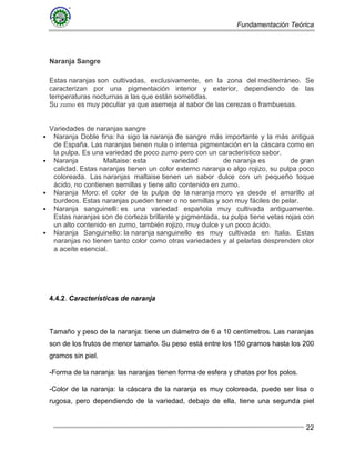 Fundamentación Teórica
22
Naranja Sangre
Estas naranjas son cultivadas, exclusivamente, en la zona del mediterráneo. Se
caracterizan por una pigmentación interior y exterior, dependiendo de las
temperaturas nocturnas a las que están sometidas.
Su zumo es muy peculiar ya que asemeja al sabor de las cerezas o frambuesas.
Variedades de naranjas sangre
 Naranja Doble fina: ha sigo la naranja de sangre más importante y la más antigua
de España. Las naranjas tienen nula o intensa pigmentación en la cáscara como en
la pulpa. Es una variedad de poco zumo pero con un característico sabor.
 Naranja Maltaise: esta variedad de naranja es de gran
calidad. Estas naranjas tienen un color externo naranja o algo rojizo, su pulpa poco
coloreada. Las naranjas maltaise tienen un sabor dulce con un pequeño toque
ácido, no contienen semillas y tiene alto contenido en zumo.
 Naranja Moro: el color de la pulpa de la naranja moro va desde el amarillo al
burdeos. Estas naranjas pueden tener o no semillas y son muy fáciles de pelar.
 Naranja sanguinelli: es una variedad española muy cultivada antiguamente.
Estas naranjas son de corteza brillante y pigmentada, su pulpa tiene vetas rojas con
un alto contenido en zumo, también rojizo, muy dulce y un poco ácido.
 Naranja Sanguinello: la naranja sanguinello es muy cultivada en Italia. Estas
naranjas no tienen tanto color como otras variedades y al pelarlas desprenden olor
a aceite esencial.
4.4.2. Características de naranja
Tamaño y peso de la naranja: tiene un diámetro de 6 a 10 centímetros. Las naranjas
son de los frutos de menor tamaño. Su peso está entre los 150 gramos hasta los 200
gramos sin piel.
-Forma de la naranja: las naranjas tienen forma de esfera y chatas por los polos.
-Color de la naranja: la cáscara de la naranja es muy coloreada, puede ser lisa o
rugosa, pero dependiendo de la variedad, debajo de ella, tiene una segunda piel
 
