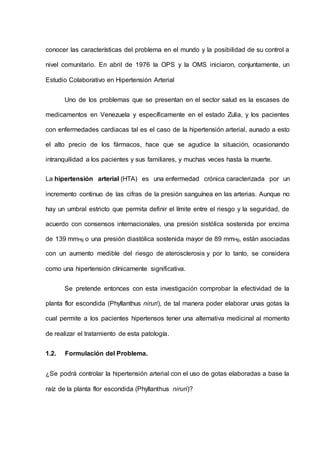 conocer las características del problema en el mundo y la posibilidad de su control a
nivel comunitario. En abril de 1976 la OPS y la OMS iniciaron, conjuntamente, un
Estudio Colaborativo en Hipertensión Arterial
Uno de los problemas que se presentan en el sector salud es la escases de
medicamentos en Venezuela y específicamente en el estado Zulia, y los pacientes
con enfermedades cardiacas tal es el caso de la hipertensión arterial, aunado a esto
el alto precio de los fármacos, hace que se agudice la situación, ocasionando
intranquilidad a los pacientes y sus familiares, y muchas veces hasta la muerte.
La hipertensión arterial (HTA) es una enfermedad crónica caracterizada por un
incremento continuo de las cifras de la presión sanguínea en las arterias. Aunque no
hay un umbral estricto que permita definir el límite entre el riesgo y la seguridad, de
acuerdo con consensos internacionales, una presión sistólica sostenida por encima
de 139 mmHg o una presión diastólica sostenida mayor de 89 mmHg, están asociadas
con un aumento medible del riesgo de aterosclerosis y por lo tanto, se considera
como una hipertensión clínicamente significativa.
Se pretende entonces con esta investigación comprobar la efectividad de la
planta flor escondida (Phyllanthus niruri), de tal manera poder elaborar unas gotas la
cual permite a los pacientes hipertensos tener una alternativa medicinal al momento
de realizar el tratamiento de esta patología.
1.2. Formulación del Problema.
¿Se podrá controlar la hipertensión arterial con el uso de gotas elaboradas a base la
raíz de la planta flor escondida (Phyllanthus niruri)?
 