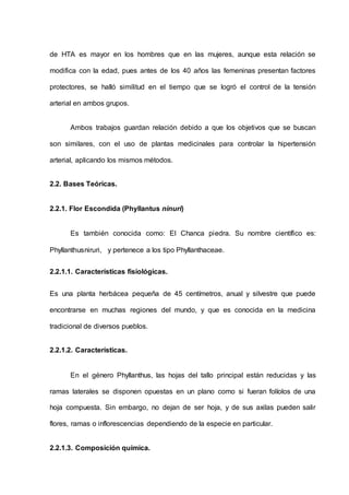 de HTA es mayor en los hombres que en las mujeres, aunque esta relación se
modifica con la edad, pues antes de los 40 años las femeninas presentan factores
protectores, se halló similitud en el tiempo que se logró el control de la tensión
arterial en ambos grupos.
Ambos trabajos guardan relación debido a que los objetivos que se buscan
son similares, con el uso de plantas medicinales para controlar la hipertensión
arterial, aplicando los mismos métodos.
2.2. Bases Teóricas.
2.2.1. Flor Escondida (Phyllantus ninuri)
Es también conocida como: El Chanca piedra. Su nombre científico es:
Phyllanthusniruri, y pertenece a los tipo Phyllanthaceae.
2.2.1.1. Características fisiológicas.
Es una planta herbácea pequeña de 45 centímetros, anual y silvestre que puede
encontrarse en muchas regiones del mundo, y que es conocida en la medicina
tradicional de diversos pueblos.
2.2.1.2. Características.
En el género Phyllanthus, las hojas del tallo principal están reducidas y las
ramas laterales se disponen opuestas en un plano como si fueran folíolos de una
hoja compuesta. Sin embargo, no dejan de ser hoja, y de sus axilas pueden salir
flores, ramas o inflorescencias dependiendo de la especie en particular.
2.2.1.3. Composición química.
 