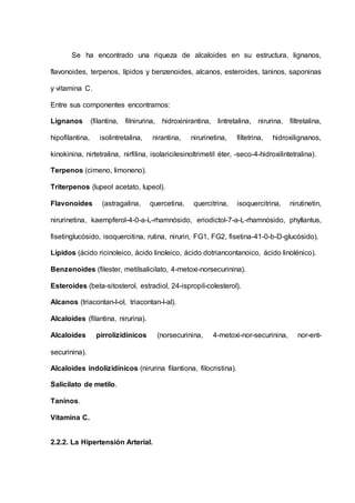Se ha encontrado una riqueza de alcaloides en su estructura, lignanos,
flavonoides, terpenos, lípidos y benzenoides, alcanos, esteroides, taninos, saponinas
y vitamina C.
Entre sus componentes encontramos:
Lignanos (filantina, filnirurina, hidroxinirantina, lintretalina, nirurina, filtretalina,
hipofilantina, isolintretalina, nirantina, nirurinetina, filtetrina, hidroxilignanos,
kinokinina, nirtetralina, nirfilina, isolaricilesinoltrimetil éter, -seco-4-hidroxilintetralina).
Terpenos (cimeno, limoneno).
Triterpenos (lupeol acetato, lupeol).
Flavonoides (astragalina, quercetina, quercitrina, isoquercitrina, nirutinetin,
nirurinetina, kaempferol-4-0-a-L-rhamnósido, eriodictol-7-a-L-rhamnósido, phyllantus,
fisetinglucósido, isoquercitina, rutina, nirurin, FG1, FG2, fisetina-41-0-b-D-glucósido).
Lípidos (ácido ricinoleico, ácido linoleico, ácido dotriancontanoico, ácido linolénico).
Benzenoides (filester, metilsalicilato, 4-metoxi-norsecurinina).
Esteroides (beta-sitosterol, estradiol, 24-ispropil-colesterol).
Alcanos (triacontan-l-ol, triacontan-l-al).
Alcaloides (filantina, nirurina).
Alcaloides pirrolizidínicos (norsecurinina, 4-metoxi-nor-securinina, nor-ent-
securinina).
Alcaloides indolizidínicos (nirurina filantiona, filocristina).
Salicilato de metilo.
Taninos.
Vitamina C.
2.2.2. La Hipertensión Arterial.
 