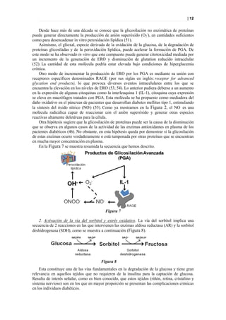 | 12


    Desde hace más de una década se conoce que la glicosilación no enzimática de proteínas
puede generar directamente la producción de anión superóxido (O2-), en cantidades suficientes
como para desencadenar in vitro peroxidación lipídica (51).
    Asimismo, el glioxal, especie derivada de la oxidación de la glucosa, de la degradación de
proteínas glicosiladas y de la peroxidación lipídica, puede acelerar la formación de PGA. De
este modo se ha observado in vitro que este compuesto puede generar citotoxicidad mediada por
un incremento de la generación de ERO y disminución de glutation reducido intracelular
(52). La cantidad de esta molécula podría estar elevada bajo condiciones de hiperglucemia
crónica.
    Otro modo de incrementar la producción de ERO por los PGA es mediante su unión con
receptores específicos denominados RAGE (por sus siglas en inglés: receptor for advanced
glycation end products), lo que provoca diversos eventos intracelulares entre los que se
encuentra la elevación en los niveles de ERO (53, 54). Lo anterior pudiera deberse a un aumento
en la expresión de algunas citoquinas como la interleuquina 1 (IL-1), citoquina cuya expresión
se eleva en macrófagos tratados con PGA. Esta molécula se ha propuesto como mediadora del
daño oxidativo en el páncreas de pacientes que desarrollan diabetes mellitus tipo 1, estimulando
la síntesis del óxido nítrico (NO.) (55). Como ya mostramos en la Figura 2, el NO. es una
molécula radicálica capaz de reaccionar con el anión superóxido y generar otras especies
reactivas altamente deletéreas para la célula.
    Otra hipótesis sugiere que la glicosilación de proteínas puede ser la causa de la disminución
que se observa en algunos casos de la actividad de las enzimas antioxidantes en plasma de los
pacientes diabéticos (46). No obstante, en esta hipótesis queda por demostrar si la glicosilación
de estas enzimas ocurre verdaderamente o está tamponada por otras proteínas que se encuentran
en mucha mayor concentración en plasma.
    En la Figura 7 se muestra resumida la secuencia que hemos descrito.




                                           Figura 7

    2. Activación de la vía del sorbitol y estrés oxidativo. La vía del sorbitol implica una
secuencia de 2 reacciones en las que intervienen las enzimas aldosa reductasa (AR) y la sorbitol
deshidrogenasa (SDH), como se muestra a continuación (Figura 8).




                                         Figura 8
    Esta constituye una de las vías fundamentales en la degradación de la glucosa y tiene gran
relevancia en aquellos tejidos que no requieren de la insulina para la captación de glucosa.
Resulta de interés señalar, como es bien conocido, que estos tejidos (riñón, retina, cristalino y
sistema nervioso) son en los que en mayor proporción se presentan las complicaciones crónicas
en los individuos diabéticos.
 