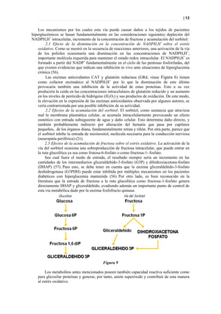 | 13


    Los mecanismos por los cuales esta vía puede causar daños a los tejidos de pacientes
hiperglucémicos se basan fundamentalmente en las consideraciones siguientes: depleción del
NADPH,H+ intracelular, incremento de la concentración de fructosa y acumulación del sorbitol:
         2.1 Efecto de la disminución en la concentración de NADPH,H+ sobre el estrés
    oxidativo. Como se mostró en la secuencia de reacciones anteriores, una activación de la vía
    de los polioles ocasionaría una disminución en las concentraciones de NADPH,H+,
    importante molécula requerida para mantener el estado redox intracelular. El NADPH,H+ es
    formado a partir del NADP+ fundamentalmente en el ciclo de las pentosas fosforiladas, del
    que existen evidencias que indican una inhibición in vivo ante situaciones de hiperglucemia
    crónica (56).
         Las enzimas antioxidantes CAT y glutatión reductasa (GRd, véase Figura 6) tienen
    como cofactor enzimático al NADPH,H+ por lo que la disminución de este último
    provocaría también una inhibición de la actividad de estas proteínas. Esto a su vez
    produciría la caída en las concentraciones intracelulares de glutatión reducido y un aumento
    en los niveles de peróxido de hidrógeno (H2O2) y sus productos de oxidación. De este modo,
    la elevación en la expresión de las enzimas antioxidantes observada por algunos autores, se
    vería contrarrestada por una posible inhibición de su actividad.
         2.2 Efectos de la acumulación del sorbitol: El sorbitol, como sustancia que atraviesa
    mal la membrana plasmática celular, se acumula intracelularmente provocando un efecto
    osmótico con entrada subsiguiente de agua y daño celular. Esto determina daño directo, y
    también probablemente indirecto por alteración del hematie que pasa por capilares
    pequeños, de los órganos diana, fundamentalmente retina y riñón. Por otra parte, parece que
    el sorbitol inhibe la entrada de mioinositol, molécula necesaria para la conducción nerviosa
    (neuropatía periférica) (21).
         2.3 Efectos de la acumulación de fructosa sobre el estrés oxidativo. La activación de la
    vía del sorbitol ocasiona una sobreproducción de fructosa intracelular, que puede entrar en
    la ruta glucolítica ya sea como frutosa-6-fosfato o como fructosa-1- fosfato.
         Sea cual fuere el modo de entrada, el resultado siempre sería un incremento en las
    cantidades de los intermediarios gliceraldehído-3-fosfato (G3P) y dihidroxiacetona-fosfato
    (DHAP) (57). Para esto, se debe tener en cuenta que la enzima gliceraldehído-3-fosfato
    deshidrogenasa (G3PDH) puede estar inhibida por múltiples mecanismos en los pacientes
    diabéticos con hiperglucemia mantenida (56). Por otro lado, es bien reconocido en la
    literatura que la entrada de fructosa a la ruta glucolítica como fructosa-1-fosfato genera
    directamente DHAP y gliceraldehído, evadiendo además un importante punto de control de
    esta vía metabólica dado por la enzima fosfofructo quinasa.




                                           Figura 9

        Los metabolitos antes mencionados poseen también capacidad reactiva suficiente como
   para glicosilar proteínas y generar, por tanto, anión superóxido y contribuir de esta manera
   al estrés oxidativo.
 