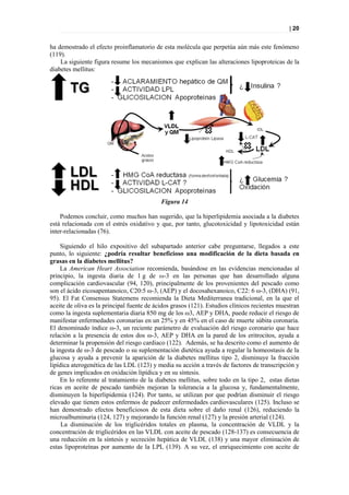 | 20


ha demostrado el efecto proinflamatorio de esta molécula que perpetúa aún más este fenómeno
(119).
    La siguiente figura resume los mecanismos que explican las alteraciones lipoproteicas de la
diabetes mellitus:




                                            Figura 14

    Podemos concluir, como muchos han sugerido, que la hiperlipidemia asociada a la diabetes
está relacionada con el estrés oxidativo y que, por tanto, glucotoxicidad y lipotoxicidad están
inter-relacionadas (76).

     Siguiendo el hilo expositivo del subapartado anterior cabe preguntarse, llegados a este
punto, lo siguiente: ¿podría resultar beneficioso una modificación de la dieta basada en
grasas en la diabetes mellitus?
     La American Heart Association recomienda, basándose en las evidencias mencionadas al
principio, la ingesta diaria de 1 g de ω-3 en las personas que han desarrollado alguna
complicación cardiovascular (94, 120), principalmente de los provenientes del pescado como
son el ácido eicosapentanoico, C20:5 ω-3, (AEP) y el docosahexanoico, C22: 6 ω-3, (DHA) (91,
95). El Fat Consensus Statemens recomienda la Dieta Mediterranea tradicional, en la que el
aceite de oliva es la principal fuente de ácidos grasos (121). Estudios clínicos recientes muestran
como la ingesta suplementaria diaria 850 mg de los ω3, AEP y DHA, puede reducir el riesgo de
manifestar enfermedades coronarias en un 25% y en 45% en el caso de muerte súbita coronaria.
El denominado índice ω-3, un reciente parámetro de evaluación del riesgo coronario que hace
relación a la presencia de estos dos ω-3, AEP y DHA en la pared de los eritrocitos, ayuda a
determinar la propensión del riesgo cardiaco (122). Además, se ha descrito como el aumento de
la ingesta de ω-3 de pescado o su suplementación dietética ayuda a regular la homeostasis de la
glucosa y ayuda a prevenir la aparición de la diabetes mellitus tipo 2, disminuye la fracción
lipídica aterogenética de las LDL (123) y media su acción a través de factores de transcripción y
de genes implicados en oxidación lipídica y en su síntesis.
     En lo referente al tratamiento de la diabetes mellitus, sobre todo en la tipo 2, estas dietas
ricas en aceite de pescado también mejoran la tolerancia a la glucosa y, fundamentalmente,
disminuyen la hiperlipidemia (124). Por tanto, se utilizan por que podrían disminuir el riesgo
elevado que tienen estos enfermos de padecer enfermedades cardiovasculares (125). Incluso se
han demostrado efectos beneficiosos de esta dieta sobre el daño renal (126), reduciendo la
microalbuminuria (124, 127) y mejorando la función renal (127) y la presión arterial (124).
     La disminución de los triglicéridos totales en plasma, la concentración de VLDL y la
concentración de triglicéridos en las VLDL con aceite de pescado (128-137) es consecuencia de
una reducción en la síntesis y secreción hepática de VLDL (138) y una mayor eliminación de
estas lipoproteínas por aumento de la LPL (139). A su vez, el enriquecimiento con aceite de
 
