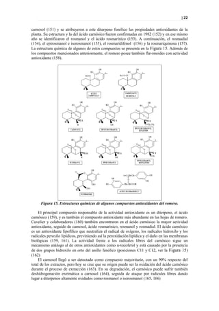 | 22


carnosol (151) y se atribuyeron a este diterpeno fenólico las propiedades antioxidantes de la
planta. Su estructura y la del ácido carnósico fueron confirmadas en 1982 (152) y en ese mismo
año se identificaron el rosmanol y el ácido rosmarínico (153). A continuación, el rosmadial
(154), el epirosmanol e isorosmanol (155), el rosmaridifenol (156) y la rosmariquinona (157).
La estructura química de algunos de estos compuestos se presenta en la Figura 15. Además de
los compuestos mencionados anteriormente, el romero posee también flavonoides con actividad
antioxidante (158).




     Figura 15. Estructuras químicas de algunos compuestos antioxidantes del romero.

    El principal compuesto responsable de la actividad antioxidante es un diterpeno, el ácido
carnósico (159), y es también el compuesto antioxidante más abundante en las hojas de romero.
Cuvelier y colaboradores (160) también encontraron en el ácido carnósico la mayor actividad
antioxidante, seguido de carnosol, ácido rosmarínico, rosmanol y rosmadial. El ácido carnósico
es un antioxidante lipofílico que neutraliza el radical de oxígeno, los radicales hidroxilo y los
radicales peroxilo lipídicos, previniendo así la peroxidación lipídica y el daño en las membranas
biológicas (159, 161). La actividad frente a los radicales libres del carnósico sigue un
mecanismo análogo al de otros antioxidantes como α-tocoferol y está causado por la presencia
de dos grupos hidroxilo en orto del anillo fenólico (posiciones C11 y C12, ver la Figura 15)
(162)
    El carnosol llegó a ser detectado como compuesto mayoritario, con un 90% respecto del
total de los extractos, pero hoy se cree que su origen puede ser la oxidación del ácido carnósico
durante el proceso de extracción (163). En su degradación, el carnósico puede sufrir también
deshidrogenación enzimática a carnosol (164), seguida de ataque por radicales libres dando
lugar a diterpenos altamente oxidados como rosmanol o isorosmanol (165, 166)
 