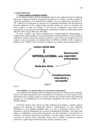 |6


2. ANTECEDENTES
     2.1 Estrés oxidativo en Diabetes Mellitus
     En los últimos tiempos se han ido acumulando cada vez más evidencias de que los radicales
libres que se originan cuando la concentración de glucosa en el medio es elevada, cumplen un
papel muy significativo en el desarrollo de la diabetes y de sus complicaciones asociadas (11-
13). También se ha observado un descenso en la capacidad antioxidante total del plasma de
pacientes diabéticos (14-20). Ambos hechos permiten afirmar que existe un incremento del
estrés oxidativo en ellos (21) (Figura 1). Este área de investigación, tanto clínico como
experimental, ha crecido de forma exponencial, aumentando el número de publicaciones desde
500 entre 1970-75 hasta 3000 entre 1995-2000.
     El estrés oxidativo que supone complicaciones, fundamentalmente polineuropatías y
complicaciones cardiovasculares, ha sido extensamente revisado por Rösen et al.(21) a partir de
multitud de estudios clínicos que muestran aumentos en los niveles de marcadores de estrés
oxidativo como, por ejemplo, los hidroperóxidos, 8-isoPGF2α, 8-OHdG y LDL oxidadas en
diabéticos tipo 1 (DM1) y tipo 2 cuando se comparan con controles sanos de edad similar (15,

                            Lesión célula beta

                                                                       Disminución
                          HIPERGLUCEMIA                                capacidad
                                                                       antioxidante


                              Radicales libres


                                                       Complicaciones
                                                        vasculares y
                                                         neuropatía
                                            Figura 1
22-33).

     Generalidades. Los radicales libres y los mecanismos antioxidantes
     No es objeto de este trabajo detallar la patogénesis general de la formación de los radicales
libres, de los efectos perjudiciales que éstos generan en el organismo, así como tampoco de los
mecanismos que los anulan, aunque si conviene recordar unas nociones básicas que permitirán
proseguir en el entendimiento de los mecanismos patogénicos del estrés oxidativo en la
Diabetes Mellitus.

     El término genérico más correcto que debe emplearse para designar a aquellas especies
químicas con capacidad de interacctuar, directa o indirectamente, con otras moléculas
alterándolas es el de especies reactivas. Éstas, a su vez, se denominan radicales libres si
presentan un electrón desapareado que las hacen extremadamente inestables y las obliga, para
llegar a su estabilidad, a interaccionar directamente con otras moléculas; e intermediarios no
radicales si precisan de mecanismos (enzimáticos o no) para ejercer el efecto lesivo, esto es,
convertirse en radicales libres propiamente dichos (34). La Tabla 1 clasifica las especies
reactivas en 3 grupos según el átomo de origen: oxígeno, nitrógeno o cloro.
 