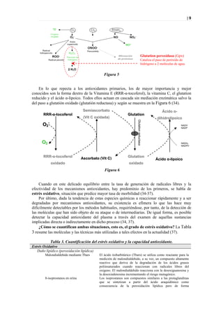 |9




                                                                                       Glutation peroxidasa (Gpx)
                                                                                       Cataliza el paso de peróxido de
                                                                                       hidrógeno a 2 moléculas de agua.


                                               Figura 5


    En lo que repecta a los antioxidantes primarios, los de mayor importancia y mejor
conocidos son la forma dextro de la Vitamina E (RRR-α-tocoferol), la vitamina C, el glutation
reducido y el ácido α-lipoico. Todos ellos actuan en cascada sin mediación enzimática salvo la
del paso a glutatión oxidado (glutatión reductasa) y según se muestra en la Figura 6 (34).
                                   Semiascorbato                                                      Ácido α-
       RRR-α-tocoferol                                          Glutation
                                   (Vit C oxidada)                                                 dihidrolipoico




                                                                       Glutation reductasa
       O2-                                                                                                          NADH-
                                                                                                                    NADP-




      O2                                                                                                            NADH2
                                                                                                                    NADPH



       RRR-α-tocoferol            Ascorbato (Vit C)             Glutation
                                                                                                 Ácido α-lipoico
             oxidado                                             oxidado
                                               Figura 6


     Cuando en este delicado equilibrio entre la tasa de generación de radicales libres y la
efectividad de los mecanismos antioxidantes, hay predominio de los primeros, se habla de
estrés oxidativo, situación que predice mayor tasa de morbilidad (34-37).
     Por último, dada la tendencia de estas especies químicas a reaccionar rápidamente y a ser
degradadas por mecanismos antioxidantes, su existencia es efímera lo que las hace muy
difícilmente detectables por los métodos habituales, requiriéndose, por tanto, de la detección de
las moléculas que han sido objeto de su ataque o de intermediarias. De igual forma, es posible
detectar la capacidad antioxidante del plasma a través del examen de aquellas sustancias
implicadas directa o indirectamente en dicho proceso (34, 37).
     ¿Cómo se cuantifican ambas situaciones, esto es, el grado de estrés oxidativo? La Tabla
3 resume las moléculas y las técnicas más utilizadas a tales efectos en la actualidad (37).

             Tabla 3. Cuantificación del estrés oxidativo y la capacidad antioxidante.
Estrés Oxidativo
   Daño lipídico (peroxidación lipídica)
        Malondialdehido mediante Tbars      El ácido tiobarbitúrico (Tbars) se utiliza como reactante para la
                                            medición de malondialdehido, a su vez, un compuesto altamente
                                            reactivo que deriva de la degradación de los ácidos grasos
                                            poliinsaturados cuando reaccionan con radicales libres del
                                            oxigeno. El malondialdehido reacciona con la desoxiguanosina y
                                            la desoxiadenosina incrementando el riesgo mutagénico.
        8-isoprostanos en orina             Los isoprostanos son compuestos similares a las protaglandinas
                                            que se sintetizan a partir del ácido araquidónico como
                                            consecuencia de la peroxidación lipídica pero de forma
 