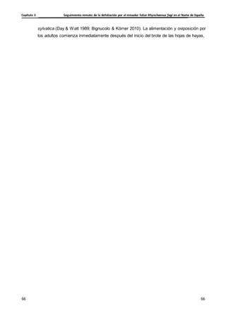 Seguimiento remoto de la defoliación por el minador foliar Rhynchaenus fagi en el Norte de España
Capítulo 3
66
66
66
66
sylvatica (Day & Watt 1989; Bignucolo & Körner 2010). La alimentación y oviposición por
los adultos comienza inmediatamente después del inicio del brote de las hojas de hayas,
 
