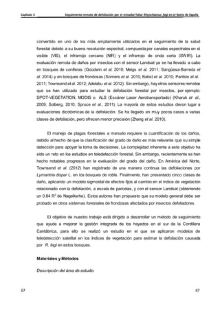 Seguimiento remoto de defoliación por el minador foliar Rhynchaenus fagi en el Norte de España
Capítulo 3
67
67
67
67
convertido en uno de los más ampliamente utilizados en el seguimiento de la salud
forestal debido a su buena resolución espectral, compuesta por canales espectrales en el
visible (VIS), el infrarrojo cercano (NIR) y el infrarrojo de onda corta (SWIR). La
evaluación remota de daños por insectos con el sensor Landsat ya se ha llevado a cabo
en bosques de coníferas (Goodwin et al. 2010; Meigs et al. 2011; Sangüesa-Barreda et
al. 2014) y en bosques de frondosas (Somers et al. 2010; Babst et al. 2010; Paritsis et al.
2011; Townsend et al. 2012; Adelabu et al. 2012). Sin embargo, hay otros sensores remotos
que se han utilizado para estudiar la defoliación forestal por insectos, por ejemplo:
SPOT-VEGETATION, MODIS o ALS (Escáner Laser Aerotransportado) (Kharuk et al.,
2009; Solberg, 2010; Spruce et al., 2011). La mayoría de estos estudios dieron lugar a
evaluaciones dicotómicas de la defoliación. Se ha llegado en muy pocos casos a varias
clases de defoliación, pero ofrecen menor precisión (Zhang et al. 2010).
El manejo de plagas forestales a menudo requiere la cuantificación de los daños,
debido al hecho de que la clasificación del grado de daño es más relevante que su simple
detección para apoyar la toma de decisiones. La complejidad inherente a este objetivo ha
sido un reto en los estudios en teledetección forestal. Sin embargo, recientemente se han
hecho notables progresos en la evaluación del grado del daño. En América del Norte,
Townsend et al. (2012) han registrado de una manera continua las defoliaciones por
Lymantria dispar L. en los bosques de roble. Finalmente, han presentado cinco clases de
daño, aplicando un modelo sigmoidal de efectos fijos al cambio en el índice de vegetación
relacionado con la defoliación, a escala de parcelas, y con el sensor Landsat (obteniendo
un 0.84 R2
de Nagelkerke). Estos autores han propuesto que su modelo general debe ser
probado en otros sistemas forestales de frondosas afectados por insectos defoliadores.
El objetivo de nuestro trabajo está dirigido a desarrollar un método de seguimiento
que ayude a mejorar la gestión integrada de los hayedos en el sur de la Cordillera
Cantábrica, para ello se realizó un estudio en el que se aplicaron modelos de
teledetección satelital en los índices de vegetación para estimar la defoliación causada
por R. fagi en estos bosques.
Materiales y Métodos
Descripción del área de estudio
 