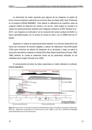 Seguimiento remoto de defoliación por el minador foliar Rhynchaenus fagi en el Norte de España
Capítulo 3
73
73
73
73
Beech foliage
La eliminación de nubes requerida para algunas de las imágenes se realizó de
forma manual mediante la aplicación de la función Área de interés (AOI, Area Of Interest)
en el programa ERDAS IMAGINE®. Para obtener la reflectancia de superficie, antes de
cualquier análisis de detección de cambio y uso de IVs, cada imagen se sometió a la
cadena de preprocesamiento estándar para imágenes Landsat en el PNT (Hantson et al.
2011). Las imágenes se mantuvieron con la resolución del sensor Landsat de 30x30 m y
fueron georreferenciadas con 74 puntos de control en tierra, con un RMSE final de 0.7
píxeles.
Siguiendo la cadena de preprocesamiento estándar, la corrección radiométrica fue
hecha por conversión de números digitales a valores de reflectancia Top-of-Atmospher
(TOA) para minimizar los efectos de dispersión de la atmósfera y luego se aplicó la
corrección atmosférica mediante el método DOS (Dark Object Subtraction) (Chavez 1988,
1996) teniendo en cuenta la calibración previa de los parámetros indicados en los
metadatos de la imagen (Chander et al. 2009).
El procesamiento de todos los datos espectrales se realizó utilizando el software
ERDAS IMAGINE®.
Pico de defoliación (aproximado) Bioventana
Hibernación de adultos
4. Nueva generación de adultos
3. Pupa
2. Larva
Fenología R. Fagi
1.Ovoposición
Foliación
Follaje
Refoliación
Fenología F. Sylvatica
A M J J A S O
Fechas de adquisición
De imágenes Landsat-5
Periodo de pre-defoliación Periodo post-defoliación
Figura 3.2. Fases del ciclo de vida (numeradas) del Rhynchaenus fagi y bioventana (rectángulo de guiones).
Daño de defoliación acumulado en el haya (área de color negro) y pico de la defoliación adaptados
aproximadamente para el área de estudio.
 