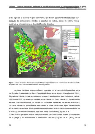 Estimación espectral de la probabilidad del daño por defoliación causado por Thaumetopoea pityocampa en pinares
de Pinus nigra en la Sierra de Gúdar, Teruel
Capítulo 4
96
96
96
96
el P. nigra es la especie de pino dominante, que fueron posteriormente reducidos a 31
después de eliminaciones debidas a cobertura de nubes, zonas de cultivo, relieve
quebrado y, principalmente, a densidad forestal defectiva.
Zona no f orestal
Fcc ≤ 53 %
Fcc > 53-69 %
Fcc > 69-77 %
Fcc > 77-87 %
Fcc > 87 %
Rodales
9 Pinus sylvestris
46 Pinus nigra
37 Pinus pinaster
Altitud (msnm)
Máx. 2017
Mín. 961
Figura 4.1. Área de estudio. Fondo de la imagen:Modelo digital deelevación.Fcc=Fracción decabidacubierta.
Mapa Fcc: ver abajo sección Obtención de la máscara forestal.
Los datos de daños en campo fueron obtenidos por el Laboratorio Forestal de Mora
de Rubielos (Laboratorio de Salud Forestal del Gobierno de Aragón; Cayuela et al. 2014).
El grado de infestación por procesionaria se evaluó anualmente a fines de invierno, desde
1970 hasta 2012, de acuerdo a seis índices de infestación: 0= no infestación, 1= defoliación
escasa, bolsones dispersos, 2= defoliación y bolsones visibles en los bordes de la masa,
3= fuerte defoliación y numerosos bolsones en el borde de la masa, ligera de defoliación
en el centro de la masa, 4= muy fuerte defoliación tanto en el borde como en el centro de
la masa, y 5= defoliación masiva, casi todo follaje consumido (Cayuela et al.
2014). Puesto que estos índices fueron diseñados para describir los niveles poblacionales
de la plaga y no directamente la defoliación causada (Cayuela et al. (2014), en el
 