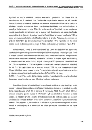 Estimación espectral de la probabilidad del daño por defoliación causado por Thaumetopoea pityocampa en pinares
de Pinus nigra en la Sierra de Gúdar, Teruel
Capítulo 4
100
100
100
100
100
100
algoritmo ISODATA mediante ERDAS IMAGINE® generando 10 clases que se
recodificaron en 5 mediante una clasificación supervisada apoyada en el mosaico
forestal. En estas 5 clases se separaron las áreas de masas más densas, en el centro del
arbolado, y cuatro entornos de éstas con distintas densidades que en total cubrían la
superficie de la imagen forestal TCA. Sin embargo, dicha “densidad” no representa una
medida cuantificable en la imagen, por lo que se trató de asignar a las áreas clasificadas
una medida de la fracción de cabida cubierta (Fcc). Sobre la imagen clasificada TCA se
aplicó un muestreo aleatorio estratificado mediante la prueba Accuracy Assessment con
ERDAS IMAGINE® de 256 pixeles-muestra (Congalton 1991) repartidas en las cinco
clases, con el fin de asignarles un rango de Fcc a cada clase (ver clases en Figura 4.1).
Paralelamente, sobre el mosaico forestal de 0.5m de resolución se aplicó una
clasificaciónsupervisada que discriminócon precisión las copas del sotobosque y del suelo,
la imagen continua se transformó en temática y ésta se recodificó en una imagen binaria
de dos clases de cubierta: forestal y no forestal. Utilizando la imagen digital del mosaico y
el muestreo realizado se ha podido asignar un rango de Fcc para cada clase clasificada
del TCA (cada pixel de la TCA corresponde a una ventana de 60x60 pixeles de mosaico).
Así el Fcc de cada clase en la imagen forestal TCA de una manera aproximada
(Figura 4.1). De la nueva imagen forestal Fcc se derivó una temática que finalmente produjo
la máscara forestal binaria al reunificar la clase 5 (Fcc >87%) y la case
4 (77% < Fcc ≤ 87%), centro de la masa y contorno respectivamente, en una sola clase
denominad masa forestal con valor 1 frente al resto con valor cero.
Considerando que la infestación por procesionaria se inicia en pies aislados y en los
bordes y sólo cuando se producen en años de infestaciones fuertes se ve afectado el centro
de la masa (Cayuela et al. 2014; Montoya & Hernández 1992; Régolini et al. 2014), y
teniendo en cuenta que los niveles de infestación 4 y 5 han afectado el interior de la masa,
se aplicó la máscaraforestal sobre los 31 rodales aislando del resto las áreas que tuviesen
una espesura completa de Fcc > 87% y cuyos contornos tuviesen una espesura incompleta
de Fcc > 78% (Figura 4.1), de forma que seevitase en lo posible el ruido espectral de fondo
debido al sotobosque y a la exposición del suelo que ocurre con coberturas de copas
abiertas.
Modelo de regresión logística
 